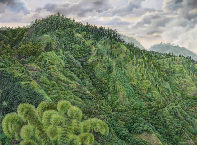 Land Marks Amy C Laskin